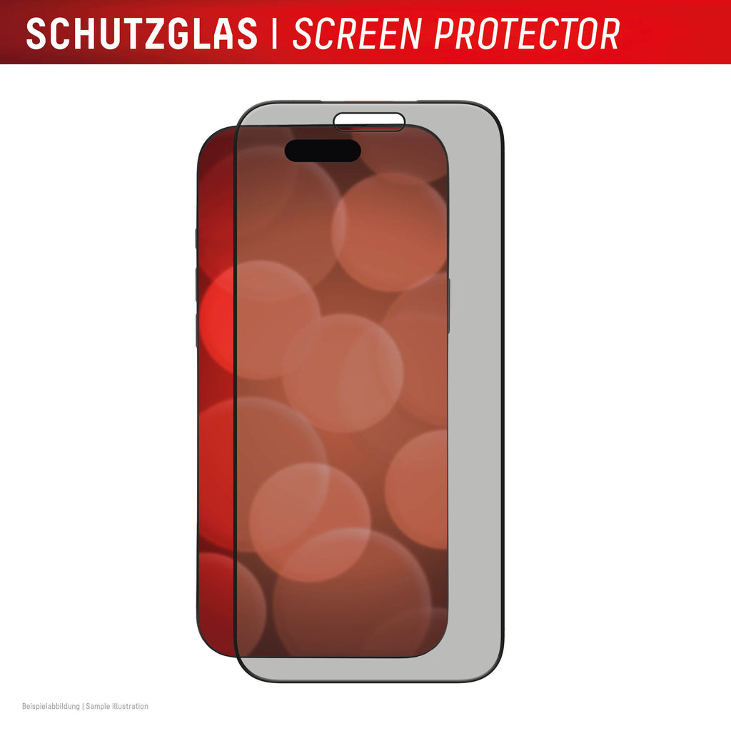 DISPLEX Privacy Panzerglas 17 Pro Max